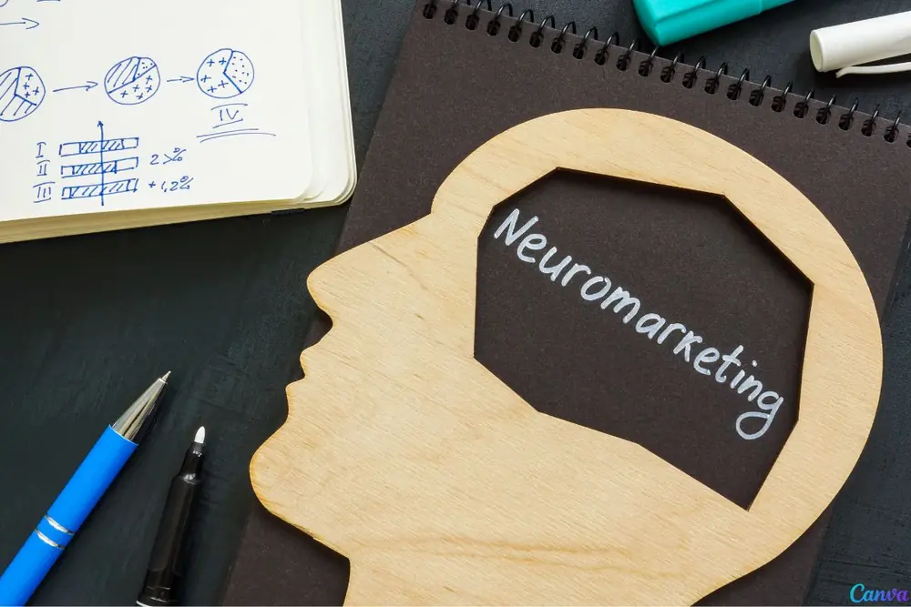 Qual a relação entre neurociência e marketing?