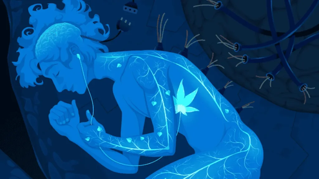 Brazil Struggles With Rest and Why It Matters Brazil Struggles With Rest and Why It Matters